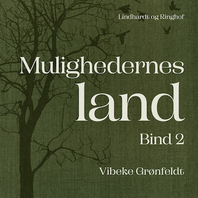 Mulighedernes land. Bind 2 – omslag til lydbogen af Vibeke Grønfeldt