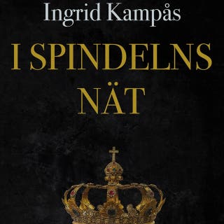 I spindelns nät