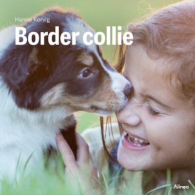 Border collie, Grøn Fagklub – omslag til lydbogen af Hanne Korvig