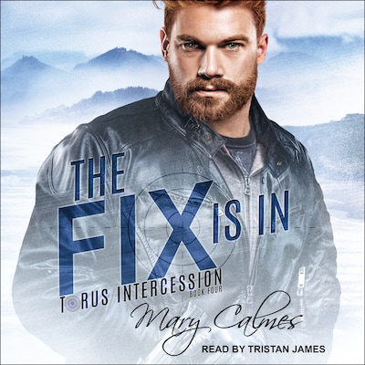 The Fix Is In – omslag til lydbogen af Mary Calmes