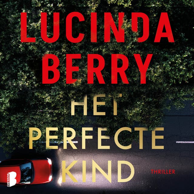 Het perfecte kind: Eén leugen om haar toekomst te redden. Eén keuze om die van hem te verwoesten. – omslag van het luisterboek van Lucinda Berry