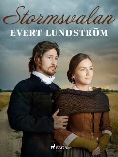 Stormsvalan – omslag till ljudboken av Evert Lundström