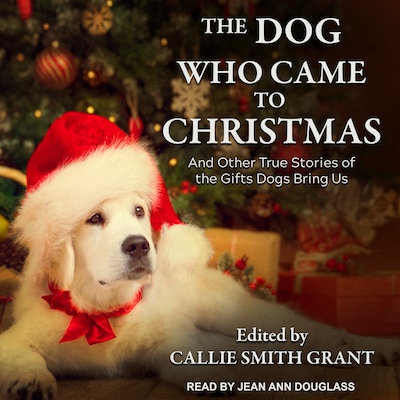 The Dog Who Came to Christmas – omslag til lydbogen af Unknown Author