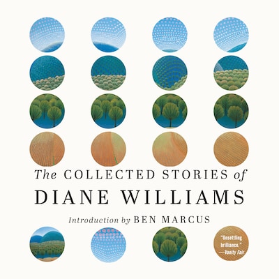 The Collected Stories of Diane Williams – omslag til lydbogen af Diane Williams