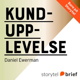 Kundupplevelse – Varför vissa organisationer lyckas… och andra inte – omslag till ljudboken av Daniel Ewerman