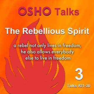 The Rebellious Spirit 3: Rebellion has to have the flavor of love