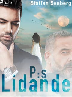 P:s lidanden – omslag till ljudboken av Staffan Seeberg