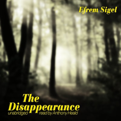 The Disappearance – omslag til lydbogen af Efrem Sigel