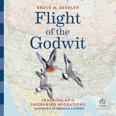 Flight of the Godwit – omslag til lydbogen af Bruce M. Beehler