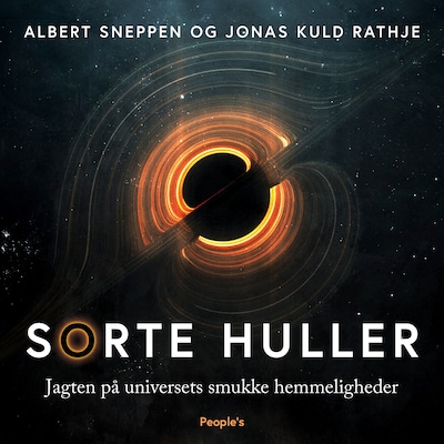 Sorte huller – omslag til lydbogen af Jonas Kuld Rathje, Albert Sneppen