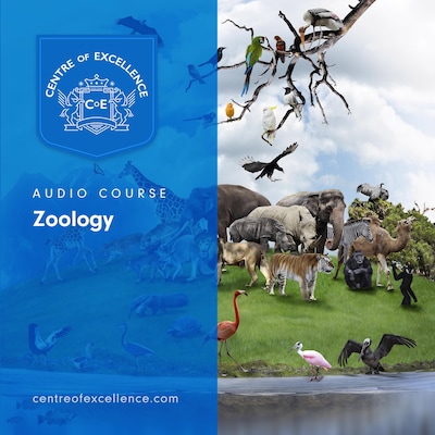 Zoology Audio Course – omslag til lydbogen af Centre of Excellence