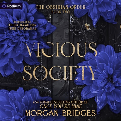 Vicious Society