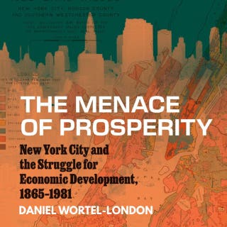 The Menace of Prosperity: New York City and the Struggle for Economic Development, 1865–1981
