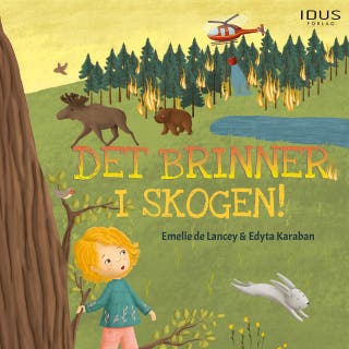 Det brinner i skogen!