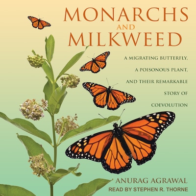 Monarchs and Milkweed – omslag til lydbogen af Anurag Agrawal
