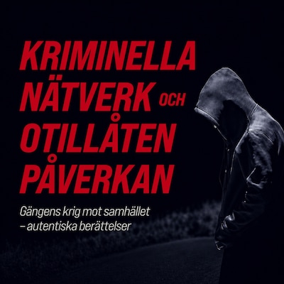 Kriminella nätverk och otillåten påverkan