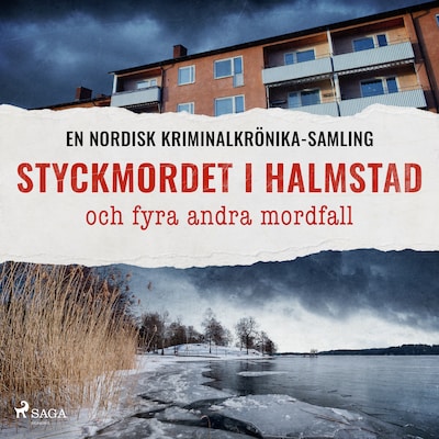 Styckmordet i Halmstad och fyra andra mordfall
