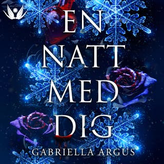 En natt med dig