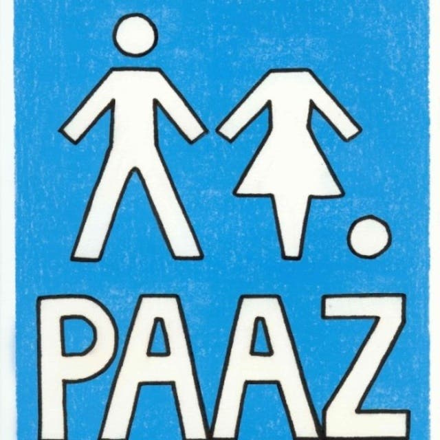 PAAZ: Psychiatrische roman