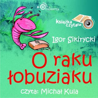 O raku łobuziaku – okładka audiobooka, autor Igor Sikirycki