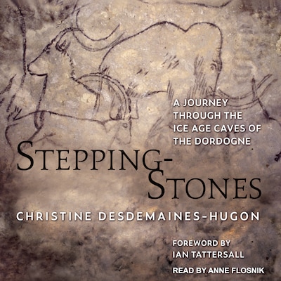 Stepping-Stones – omslag til lydbogen af Christine Desdemaines-Hugon