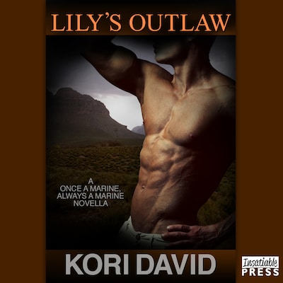 Lily's Outlaw – okładka audiobooka, autor Kori David