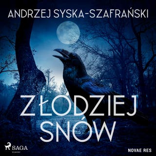 Złodziej snów – okładka audiobooka, autor Andrzej Syska-Szafrański