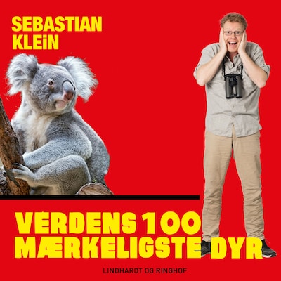 Verdens 100 mærkeligste dyr, Koalabjørnen – omslag til lydbogen af Sebastian Klein