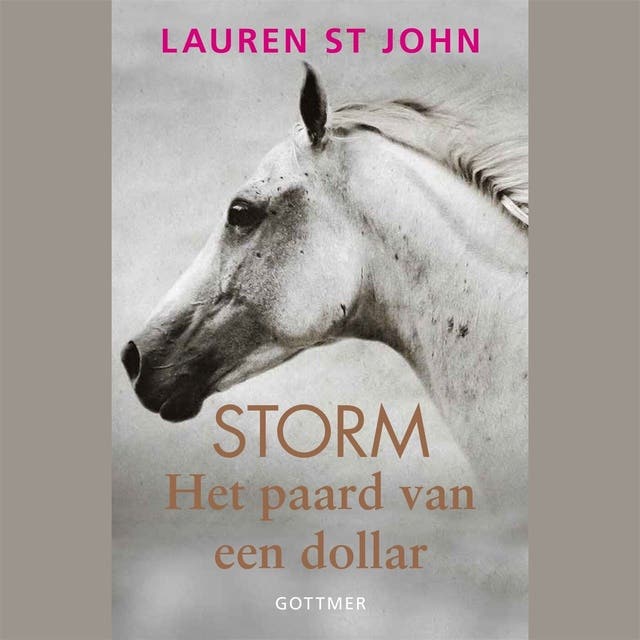 Het paard van een dollar – omslag van het luisterboek van Lauren St. John
