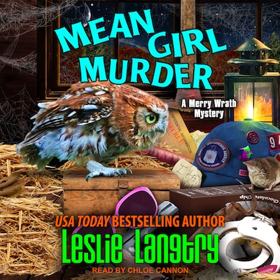 Mean Girl Murder – omslag til lydbogen af Leslie Langtry