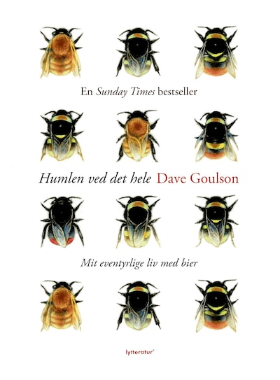 Humlen ved det hele – omslag til lydbogen af Dave Goulson