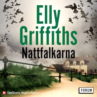 Nattfalkarna