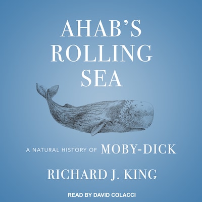 Ahab's Rolling Sea – omslag til lydbogen af Richard J. King